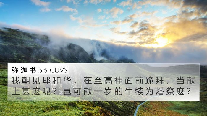弥 迦 书 6:6 CUVS Bible Verse Image