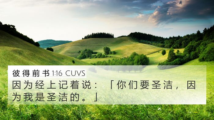 彼 得 前 书 1:16 CUVS 4K Wallpaper - 因 为 经 上 记 着 说 ： 「 你 们 要 - 4K Wallpaper Bible Verse