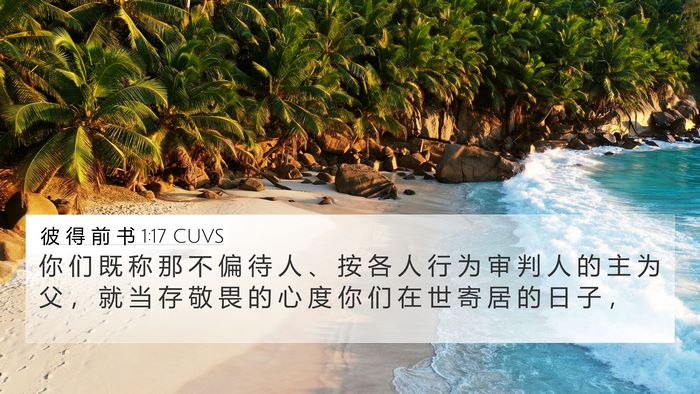 彼 得 前 书 1:17 CUVS 4K Wallpaper - 你 们 既 称 那 不 偏 待 人 、 按 各 - 4K Wallpaper Bible Verse
