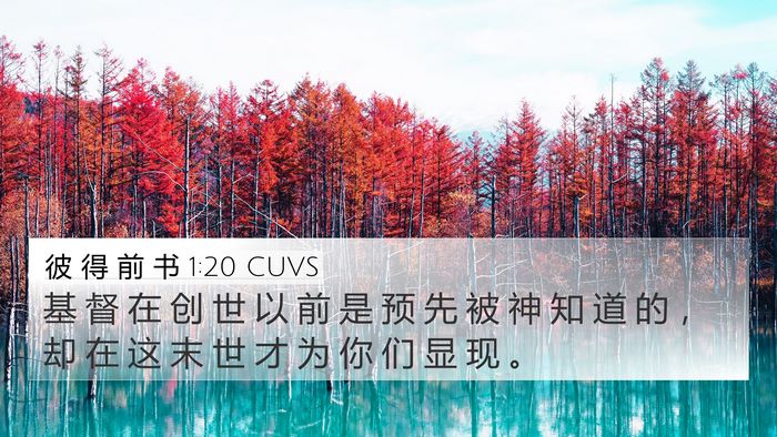 彼 得 前 书 1:20 CUVS 4K Wallpaper - 基 督 在 创 世 以 前 是 预 先 被 神 - 4K Wallpaper Bible Verse
