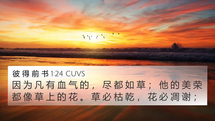 彼 得 前 书 1:24 CUVS Bible Verse Image
