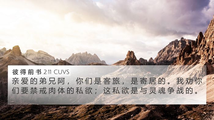 彼 得 前 书 2:11 CUVS 4K Wallpaper - 亲 爱 的 弟 兄 阿 ， 你 们 是 客 旅 - 4K Wallpaper Bible Verse