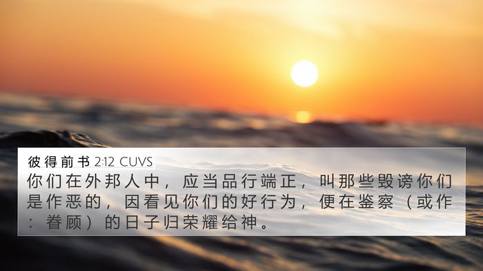 彼 得 前 书 2:12 CUVS Bible Verse Image