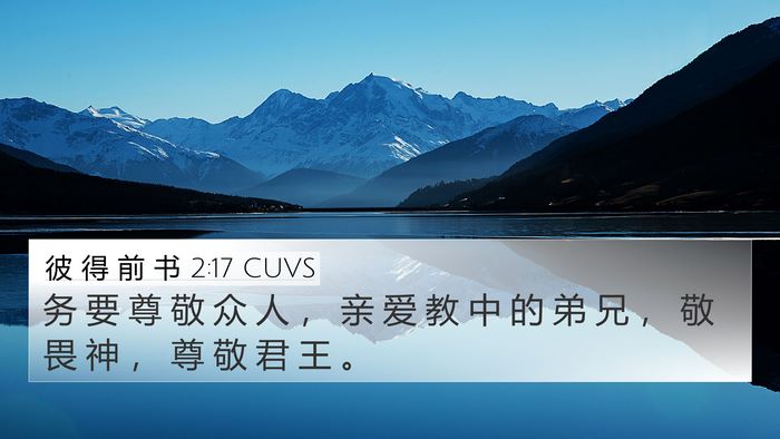 彼 得 前 书 2:17 CUVS Bible Verse Image