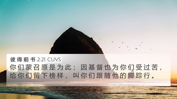 彼 得 前 书 2:21 CUVS Bible Verse Image
