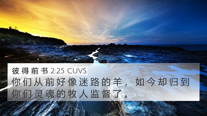 彼 得 前 书 2:25 CUVS Bible Verse Image