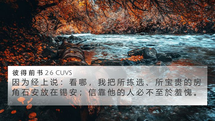 彼 得 前 书 2:6 CUVS Bible Verse Image