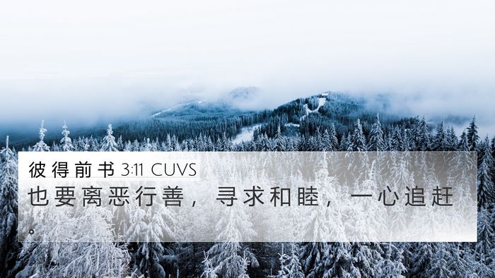 彼 得 前 书 3:11 CUVS Bible Verse Image