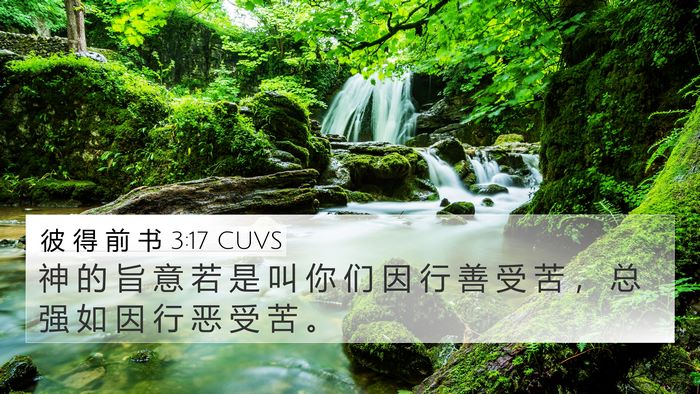 彼 得 前 书 3:17 CUVS Bible Verse Image