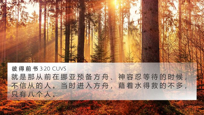 彼 得 前 书 3:20 CUVS Bible Verse Image