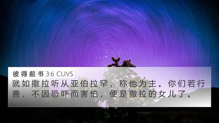 彼 得 前 书 3:6 CUVS Bible Verse Image