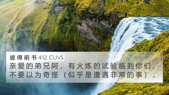 彼 得 前 书 4:12 CUVS Bible Verse Image