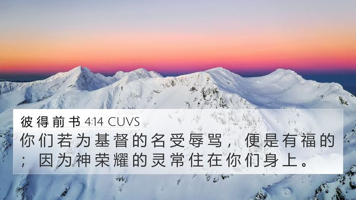 彼 得 前 书 4:14 CUVS Bible Verse Image