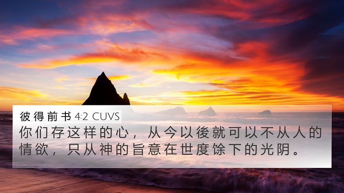 彼 得 前 书 4:2 CUVS Bible Verse Image