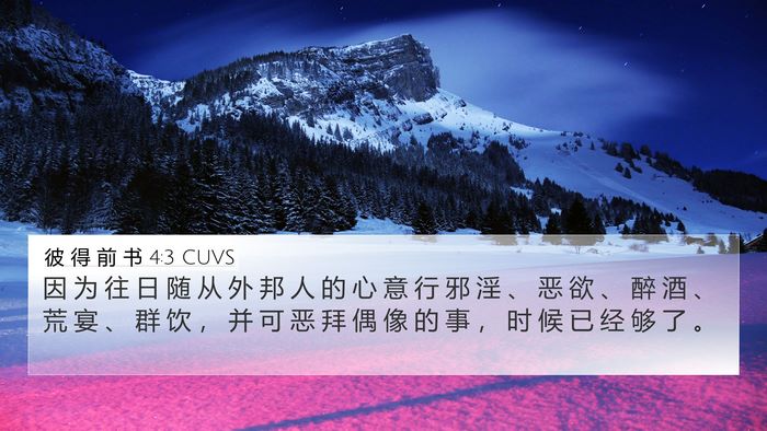 彼 得 前 书 4:3 CUVS Bible Verse Image