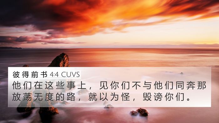 彼 得 前 书 4:4 CUVS Bible Verse Image