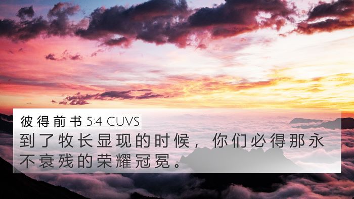 彼 得 前 书 5:4 CUVS Bible Verse Image