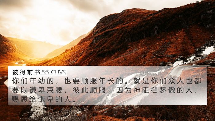 彼 得 前 书 5:5 CUVS Bible Verse Image