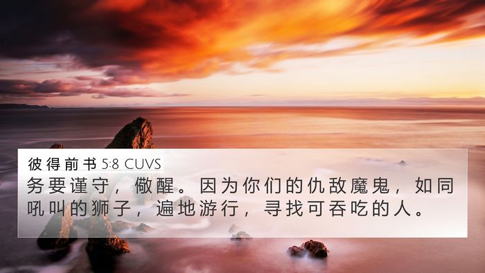 彼 得 前 书 5:8 CUVS Bible Verse Image