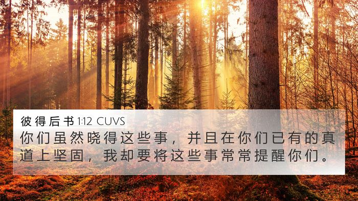 彼 得 后 书 1:12 CUVS Bible Verse Image