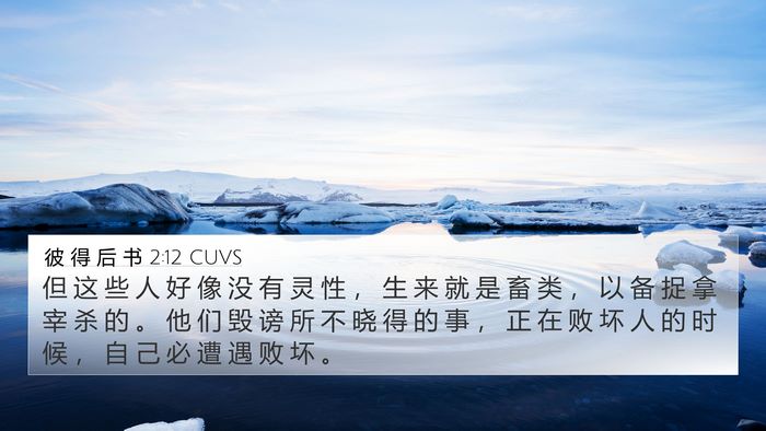 彼 得 后 书 2:12 CUVS Bible Verse Image