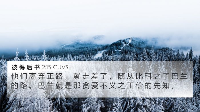 彼 得 后 书 2:15 CUVS Bible Verse Image