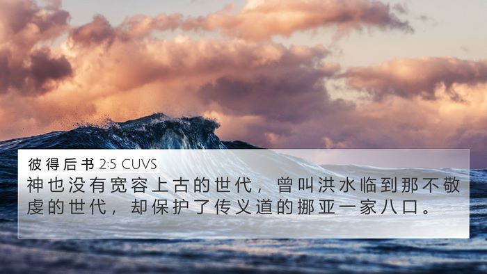 彼 得 后 书 2:5 CUVS Bible Verse Image