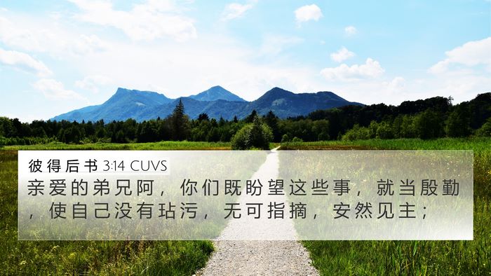 彼 得 后 书 3:14 CUVS Bible Verse Image