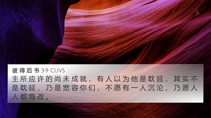 彼 得 后 书 3:9 CUVS Bible Verse Image