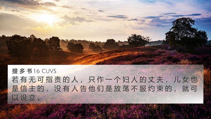 提 多 书 1:6 CUVS Bible Verse Image