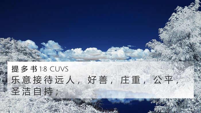 提 多 书 1:8 CUVS Bible Verse Image