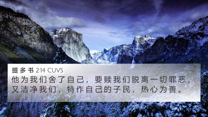 提 多 书 2:14 CUVS Bible Verse Image