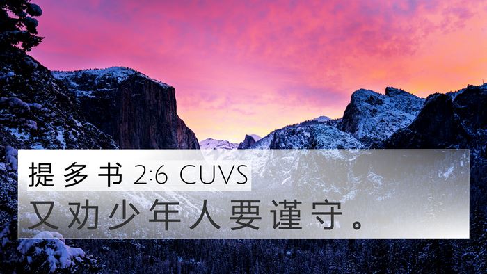 提 多 书 2:6 CUVS Bible Verse Image