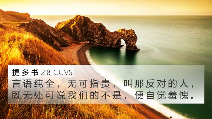 提 多 书 2:8 CUVS Bible Verse Image