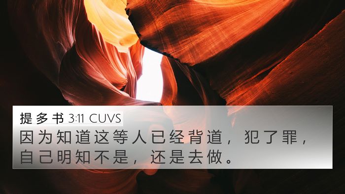 提 多 书 3:11 CUVS 4K Wallpaper - 因 为 知 道 这 等 人 已 经 背 道 ， - 4K Wallpaper Bible Verse