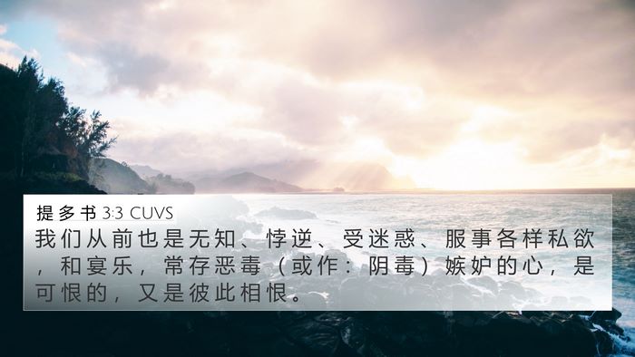 提 多 书 3:3 CUVS Bible Verse Image