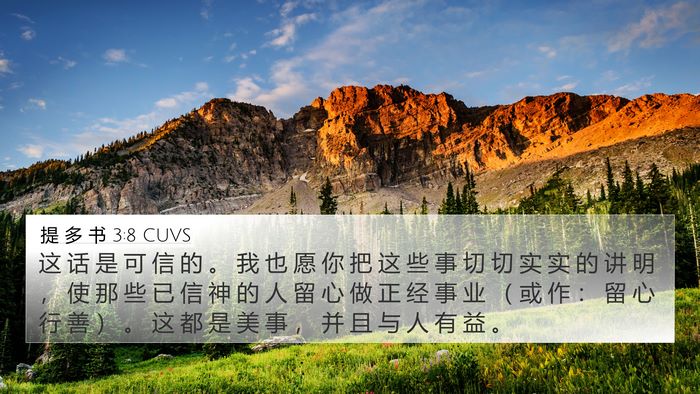 提 多 书 3:8 CUVS Bible Verse Image