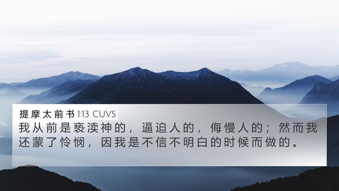 提 摩 太 前 书 1:13 CUVS Bible Verse Image