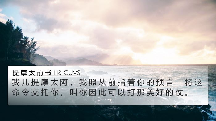 提 摩 太 前 书 1:18 CUVS Bible Verse Image
