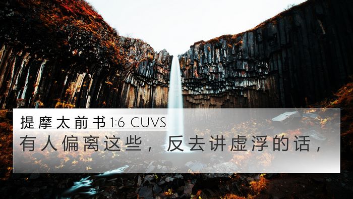 提 摩 太 前 书 1:6 CUVS Bible Verse Image