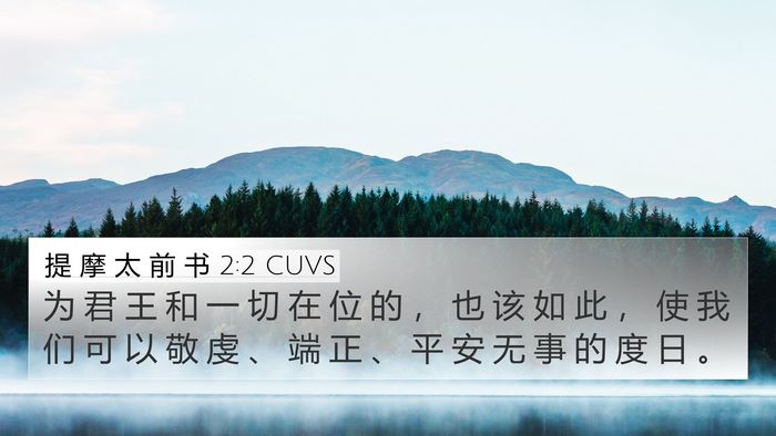 提 摩 太 前 书 2:2 CUVS 4K Wallpaper - 为 君 王 和 一 切 在 位 的 ， 也 该 - 4K Wallpaper Bible Verse