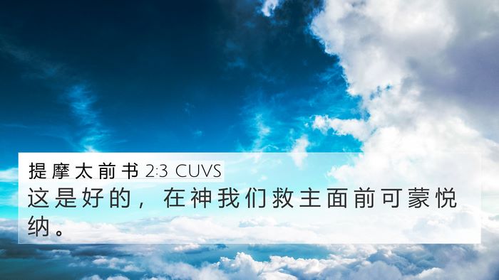 提 摩 太 前 书 2:3 CUVS 4K Wallpaper - 这 是 好 的 ， 在 神 我 们 救 主 面 - 4K Wallpaper Bible Verse