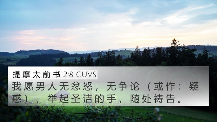 提 摩 太 前 书 2:8 CUVS Bible Verse Image