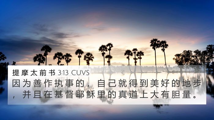 提 摩 太 前 书 3:13 CUVS Bible Verse Image