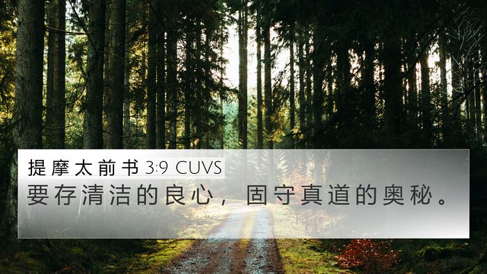提 摩 太 前 书 3:9 CUVS 4K Wallpaper - 要 存 清 洁 的 良 心 ， 固 守 真 道 - 4K Wallpaper Bible Verse