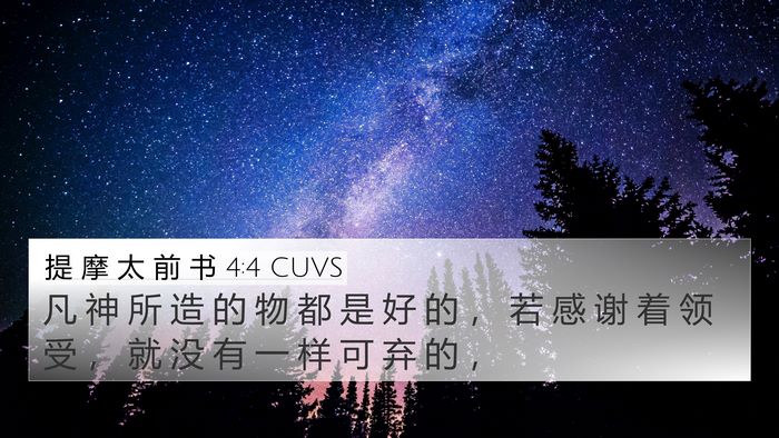 提 摩 太 前 书 4:4 CUVS Bible Verse Image