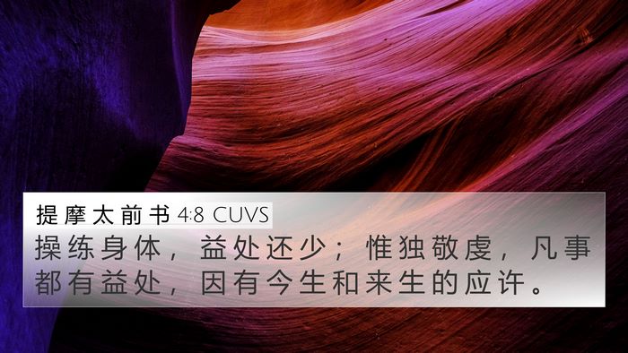 提 摩 太 前 书 4:8 CUVS Bible Verse Image