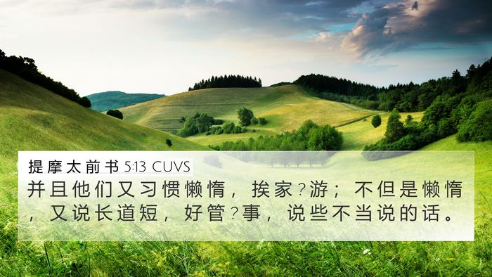 提 摩 太 前 书 5:13 CUVS Bible Verse Image