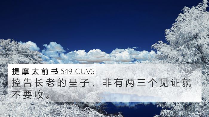 提 摩 太 前 书 5:19 CUVS Bible Verse Image