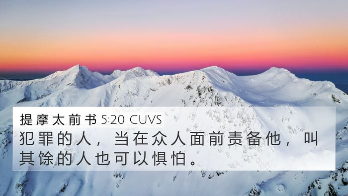 提 摩 太 前 书 5:20 CUVS Bible Verse Image